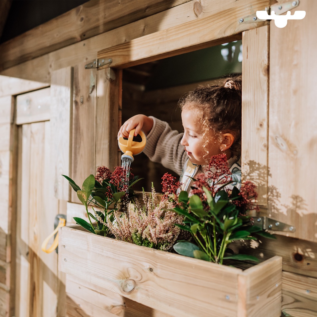 Xtra-Bloom flower box 835385